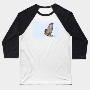 Red-tailed Hawk Baseball T-Shirt